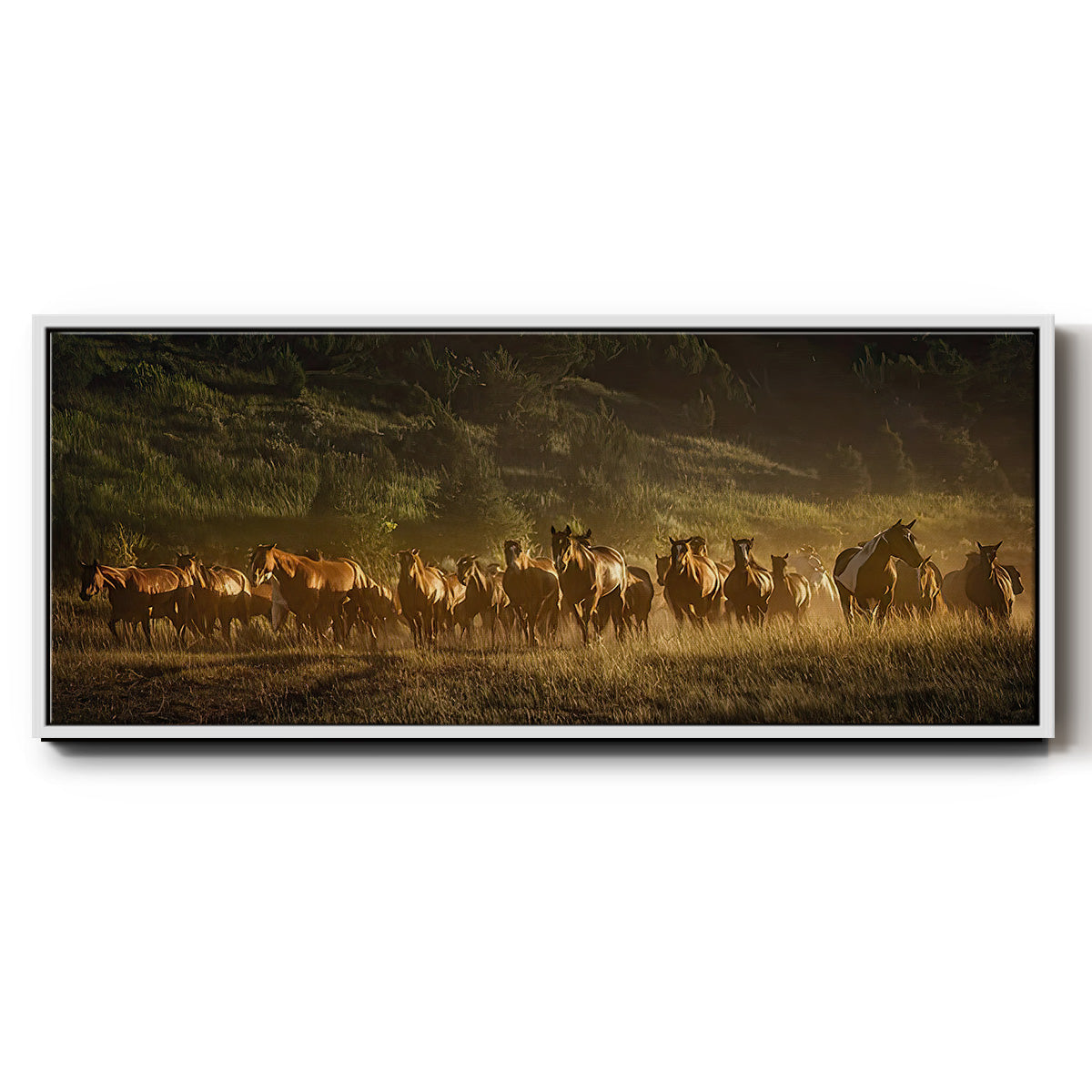 Wild and Free III - Floater Framed Canvas Print