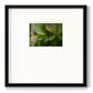 Arboreal Refuge Premium Framed Print Double Matboard