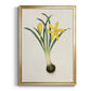 Flowers of the Seasons VI - Modern Framed Canvas Print