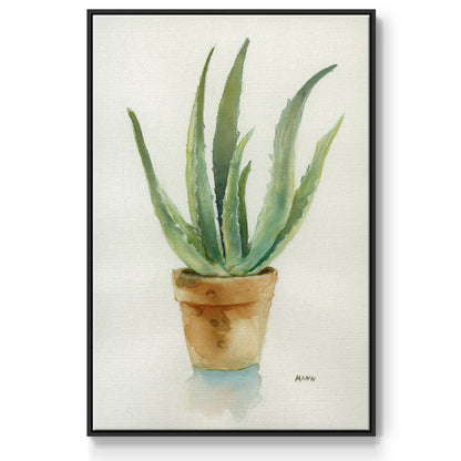 Succulent IV - Framed Premium Gallery Wrapped Canvas L Frame - Ready to Hang