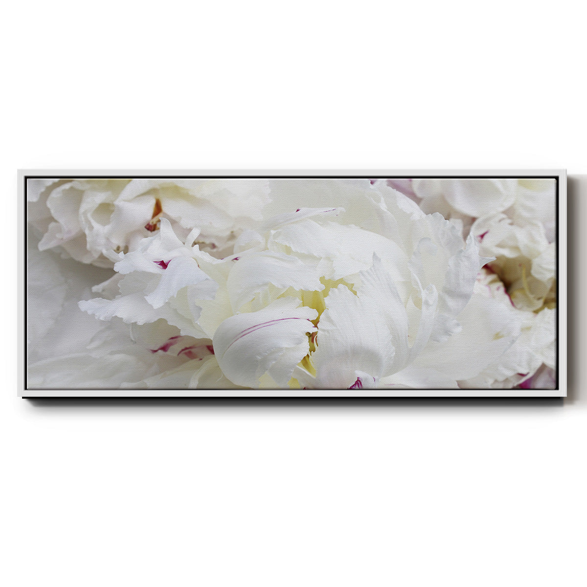 Breathless VI - Floater Framed Canvas Print