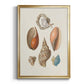 Knorr Shells & Coral I - Modern Framed Canvas Print