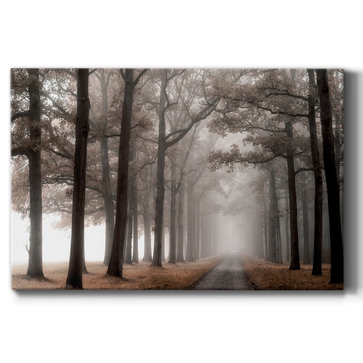 Misty Road - Canvas Art Print