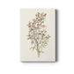 Twig Study I Premium Gallery Wrapped Canvas - Ready to Hang