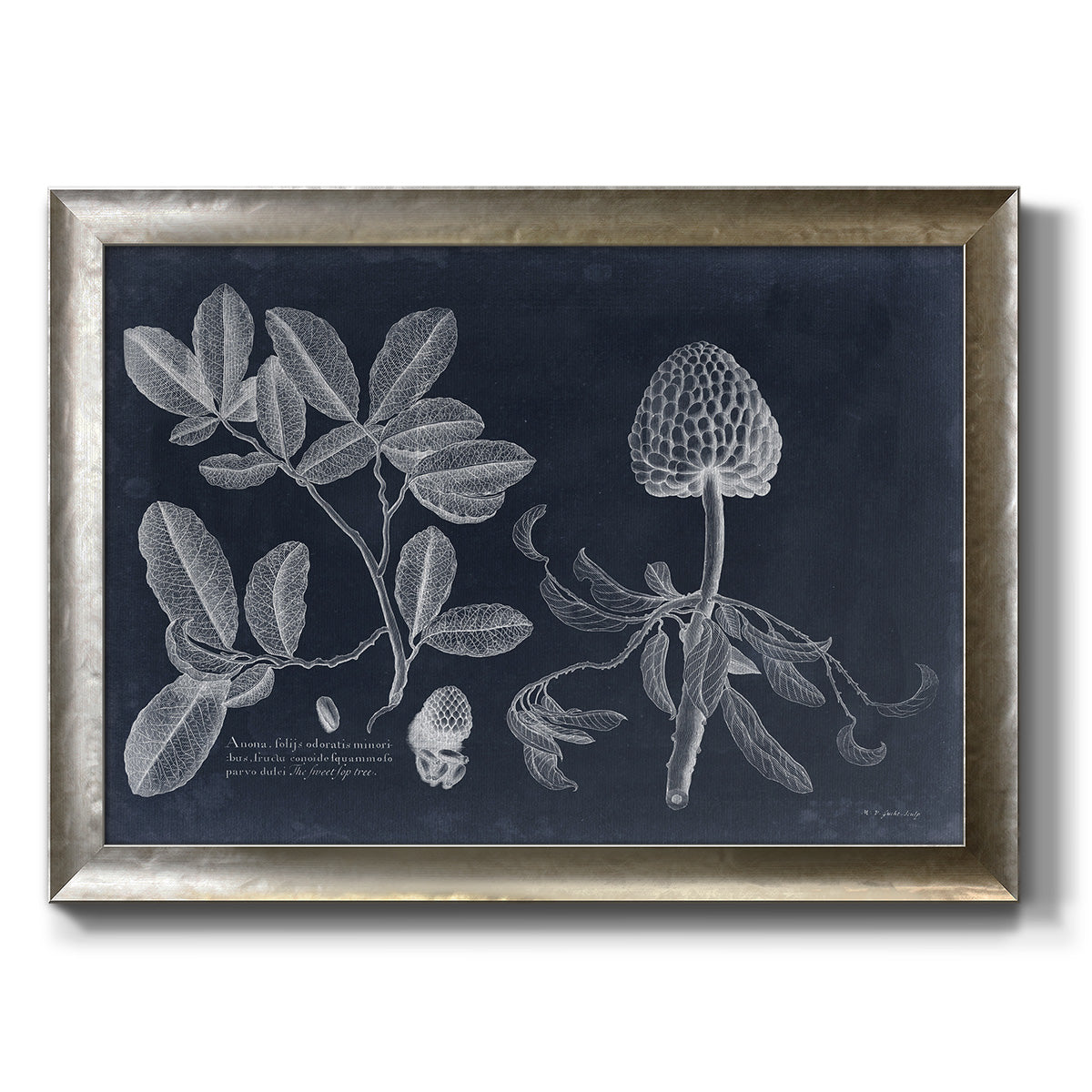 Foliage on Navy II Premium Framed Canvas- Ready to Hang