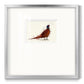 Pheasant Splash 4 Premium Framed Print Double Matboard