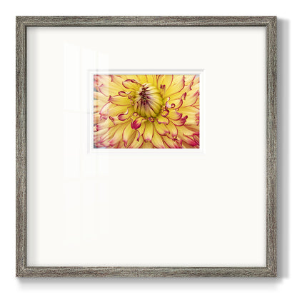 Blooms II Premium Framed Print Double Matboard