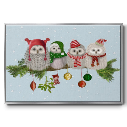 Fluffy Christmas Owls on Branch - Floater Framed Canvas Print