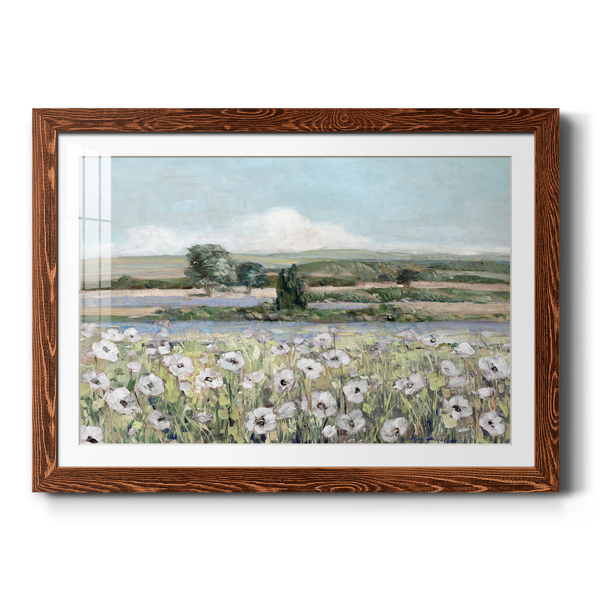 Vintage Poppy Valley - Barnwood Framed Art Print