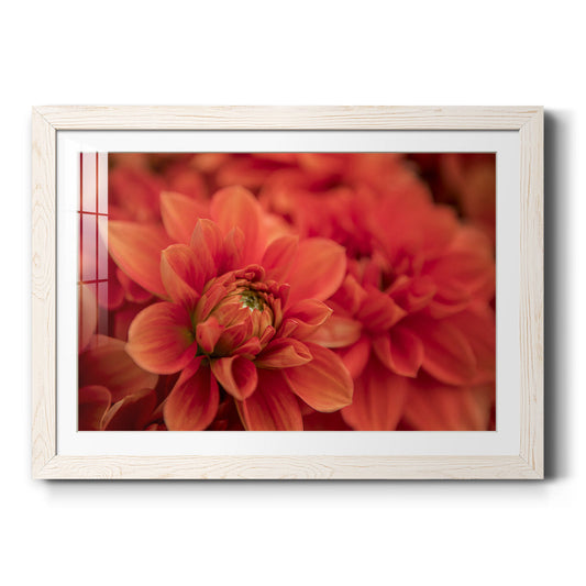 Spring Fire-Premium Framed Print - Ready to Hang