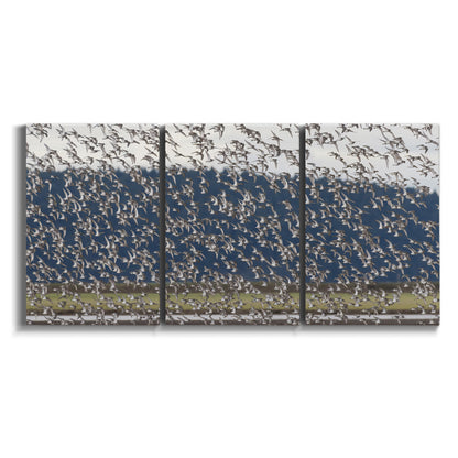 Three-panel canvas wall art featuring group of animals in open field on white background.