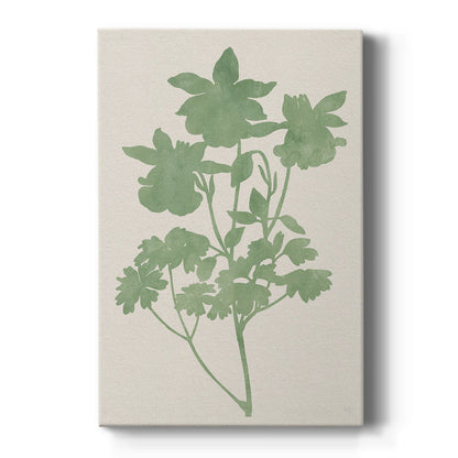 Vintage Garden I - Canvas Art Print