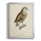 French Owls I - Modern Framed Canvas Print