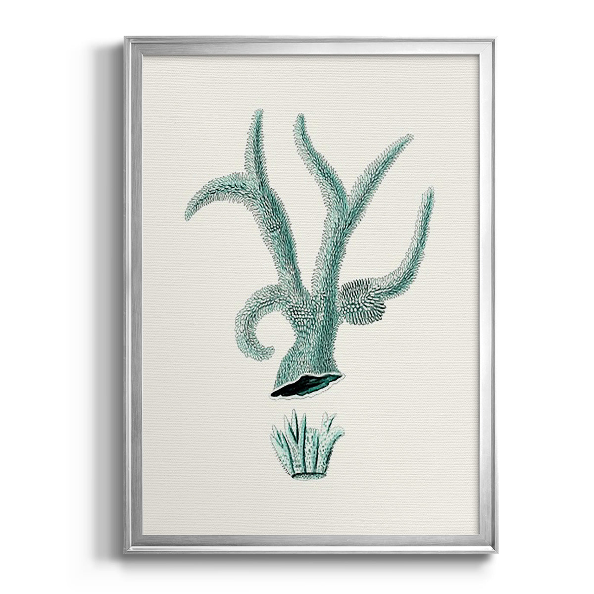 Antique Coastal Coral XII - Modern Framed Canvas Print