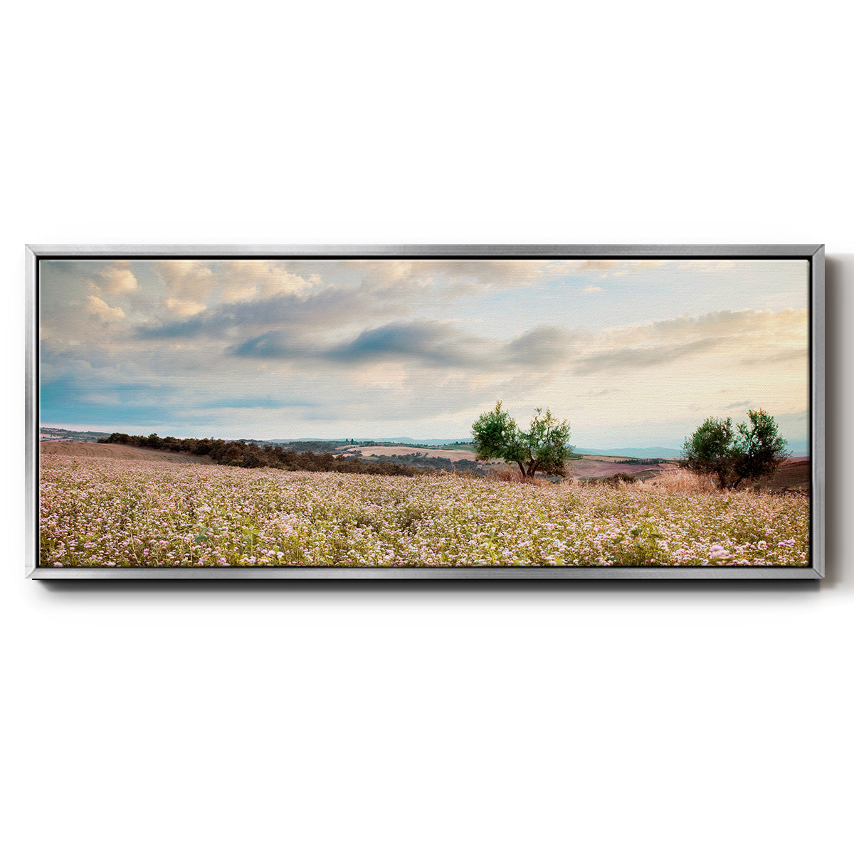 Tuscan Wildflowers - Floater Framed Canvas Print
