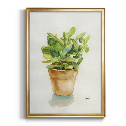 Succulent I - Modern Framed Canvas Print