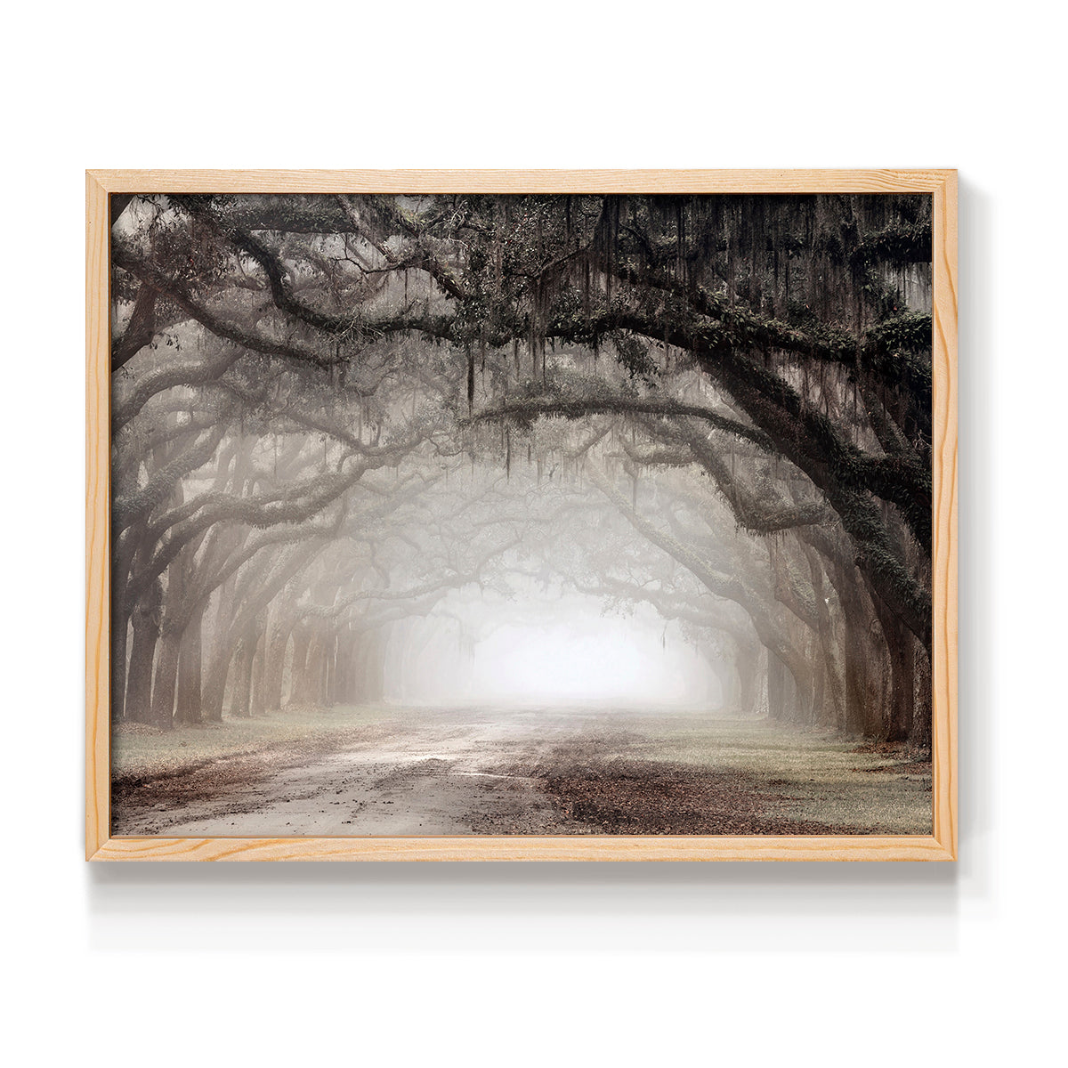 Timeless Plantation Drive - Restickable Framed Art Print