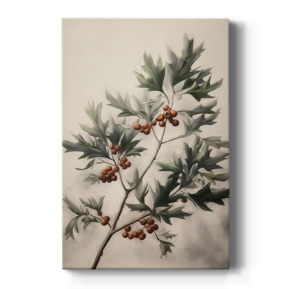 Sugar Star Whisper - Canvas Art Print