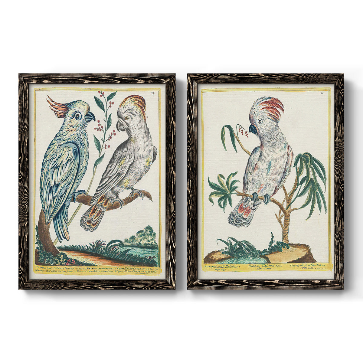 Pastel Birds I - Premium Framed Canvas 2 Piece Set - Ready to Hang