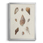 Knorr Shells & Coral IX - Modern Framed Canvas Print