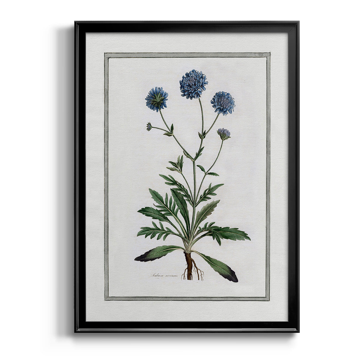 Soft Botanical II - Modern Framed Canvas Print