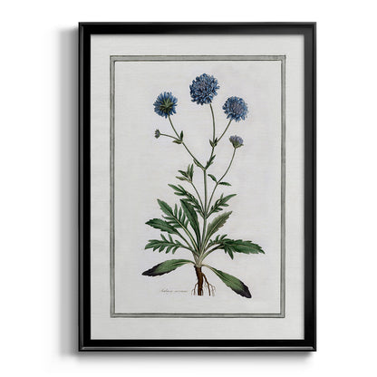 Soft Botanical II - Modern Framed Canvas Print