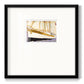 Godlen Sail V Premium Framed Print Double Matboard