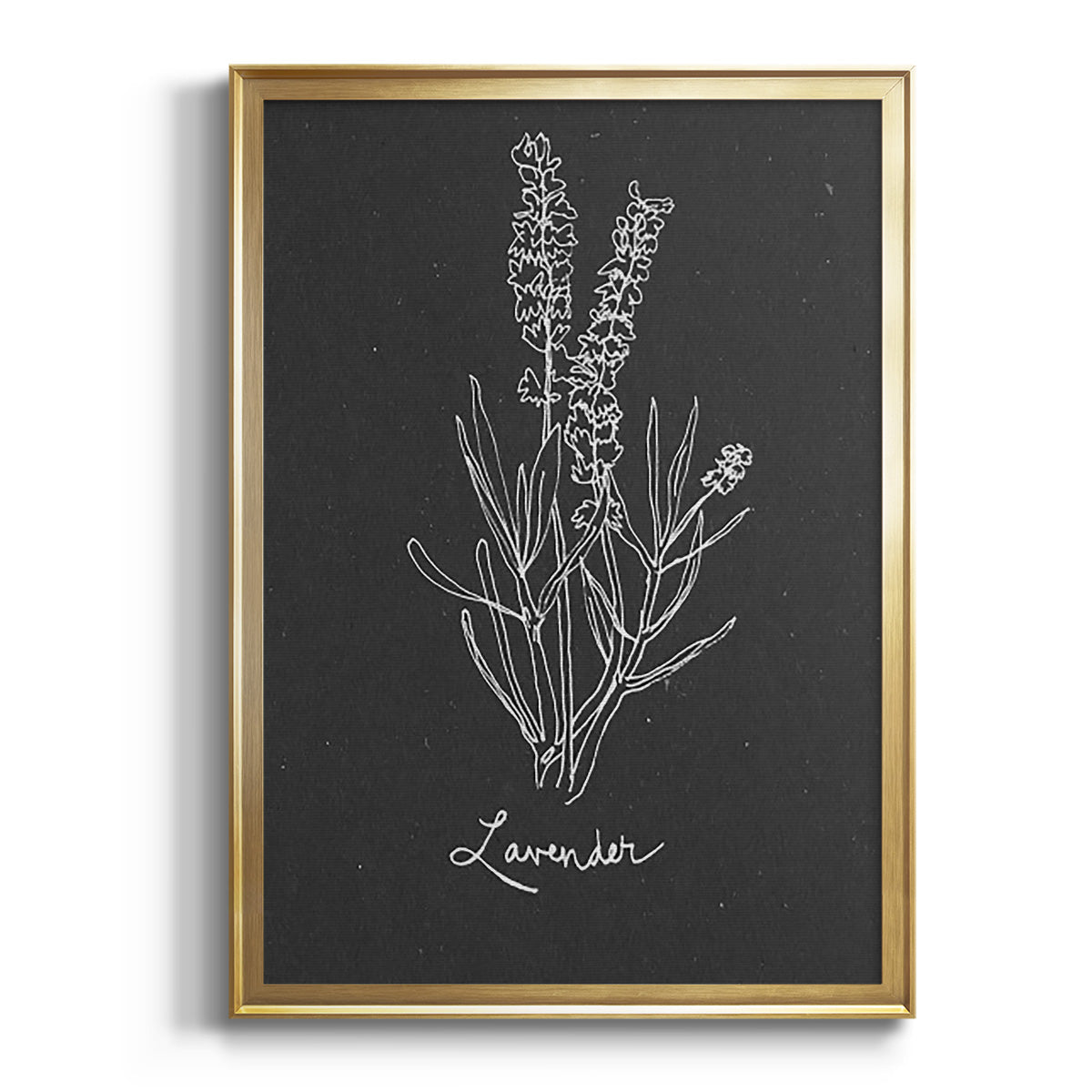 Scent Garden II - Modern Framed Canvas Print