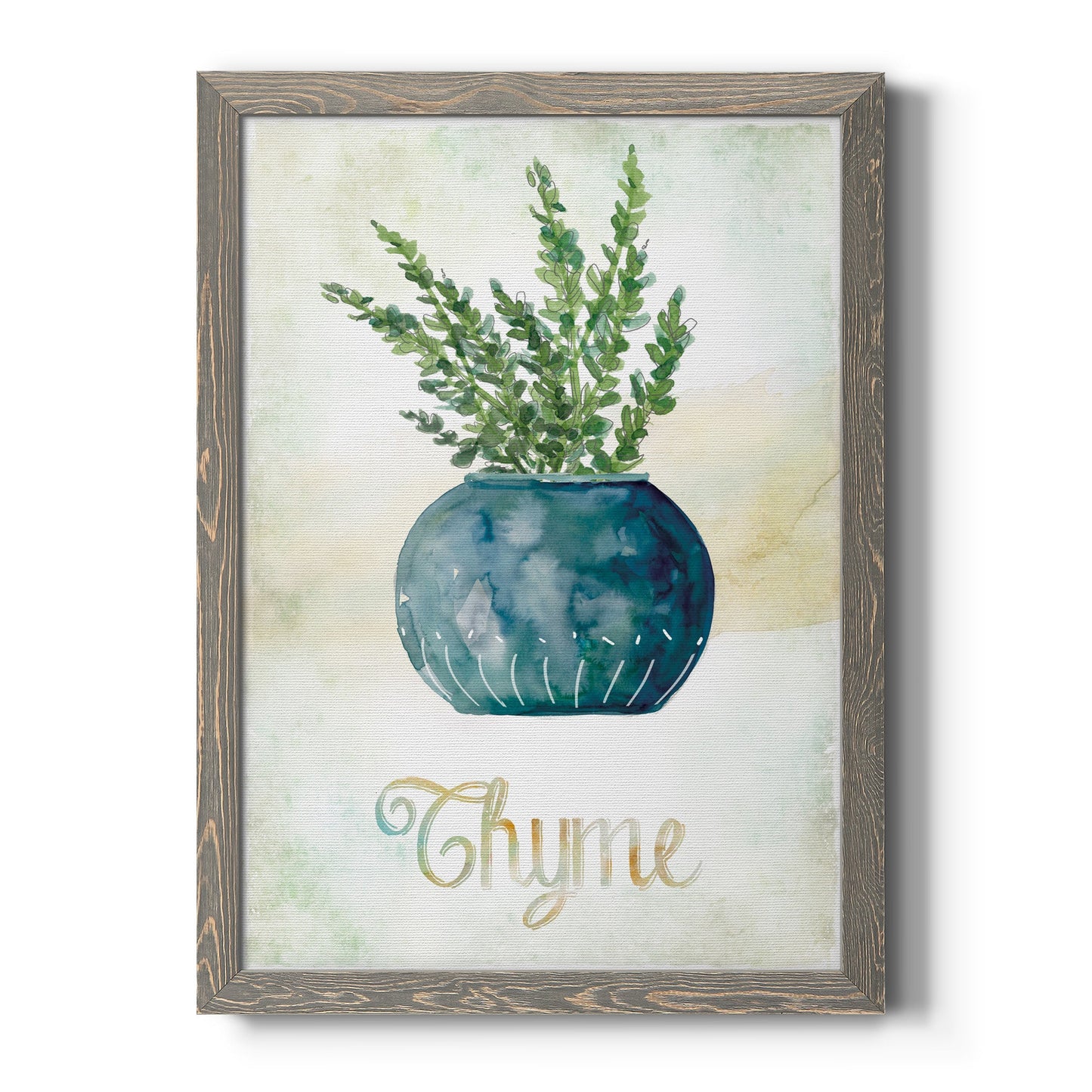 Potted Thyme - Barnwood Framed Canvas Print