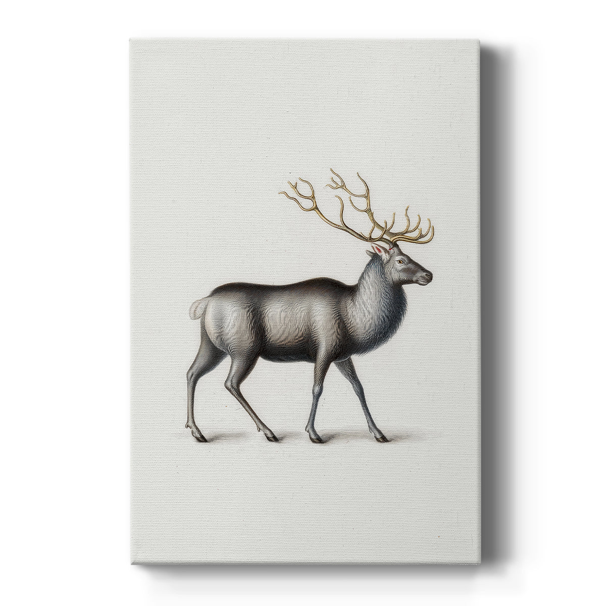 Midnight of Pearled Twilight - Canvas Art Print