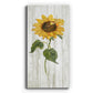 Sunflower in Autumn II - Premium Gallery Wrapped Canvas - Ready to Hang