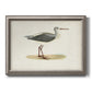 Morris Sandpipers I Premium Framed Canvas- Ready to Hang