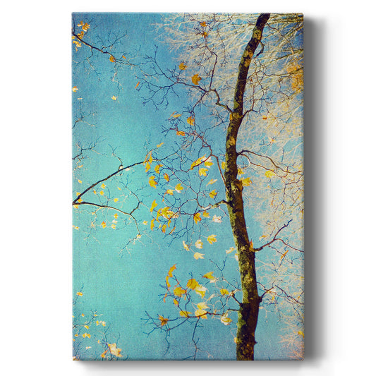 Autumn Tapestry III - Canvas Art Print