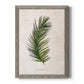 Palm Botanical II - Premium Canvas Framed in Barnwood - Ready to Hang