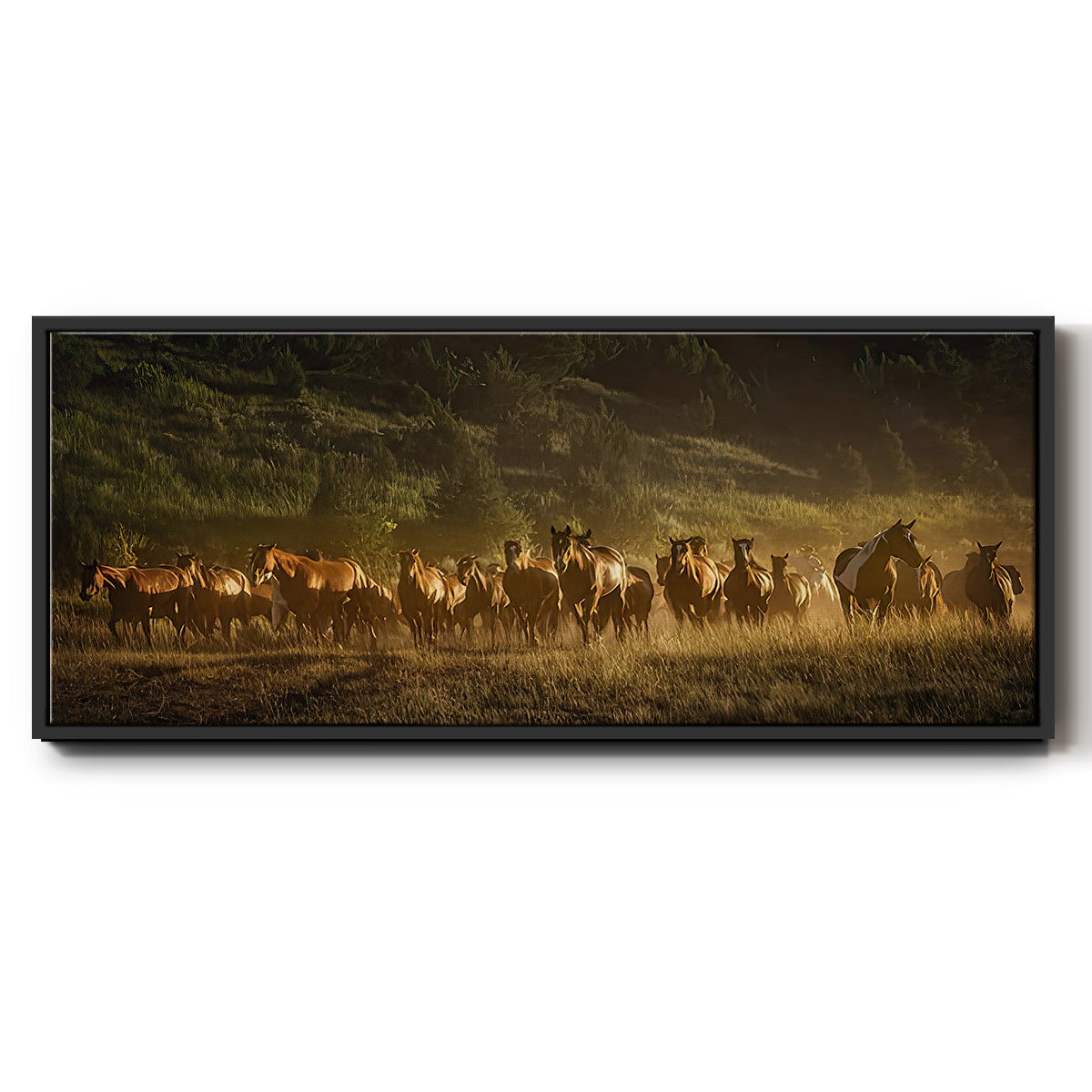 Wild and Free III - Floater Framed Canvas Print
