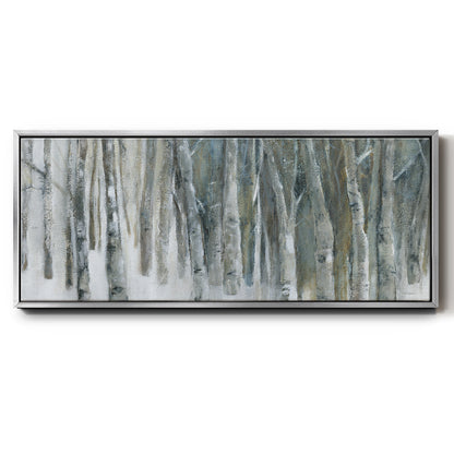 Banff Birch Grove - Floater Framed Canvas Print