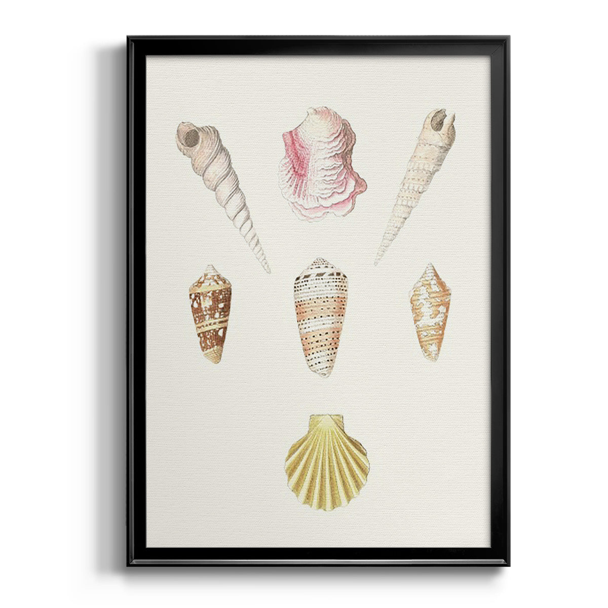 Pastel Knorr Shells I - Modern Framed Canvas Print