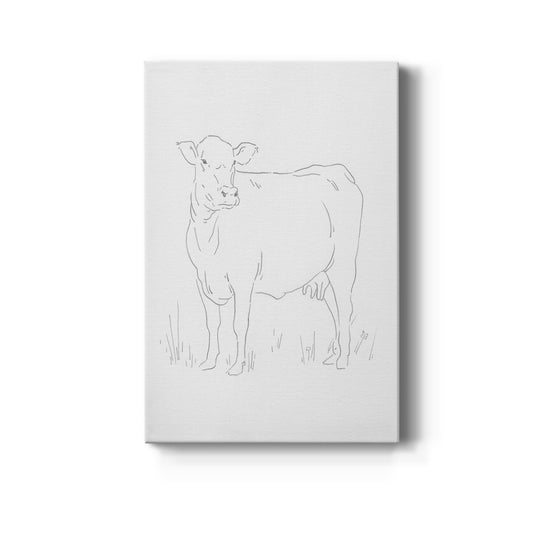 Limousin Cattle II  Premium Gallery Wrapped Canvas - Ready to Hang