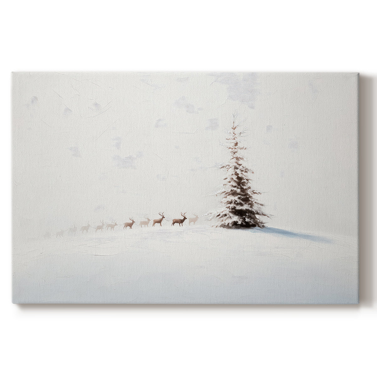 Silver Silence of Fir - Canvas Art Print