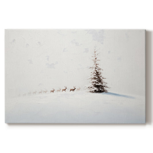 Silver Silence of Fir - Canvas Art Print