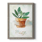 Potted Sage - Barnwood Framed Canvas Print