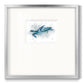 Blue Turtle II - Double Matboard Framed Print