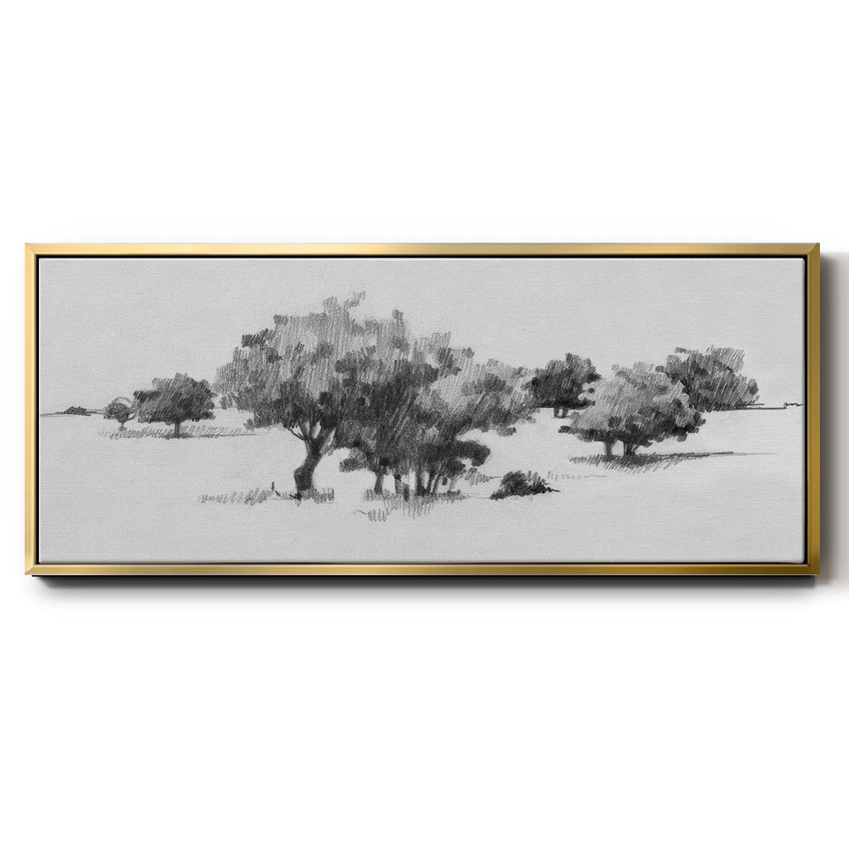 Treeline Sketch II - Floater Framed Canvas Print