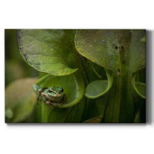 Arboreal Refuge Premium Gallery Wrapped Canvas - Ready to Hang