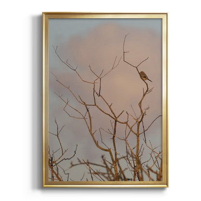 At Dawn - Modern Framed Canvas Print