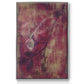 Branching Out XVII - Floater Framed Canvas Print