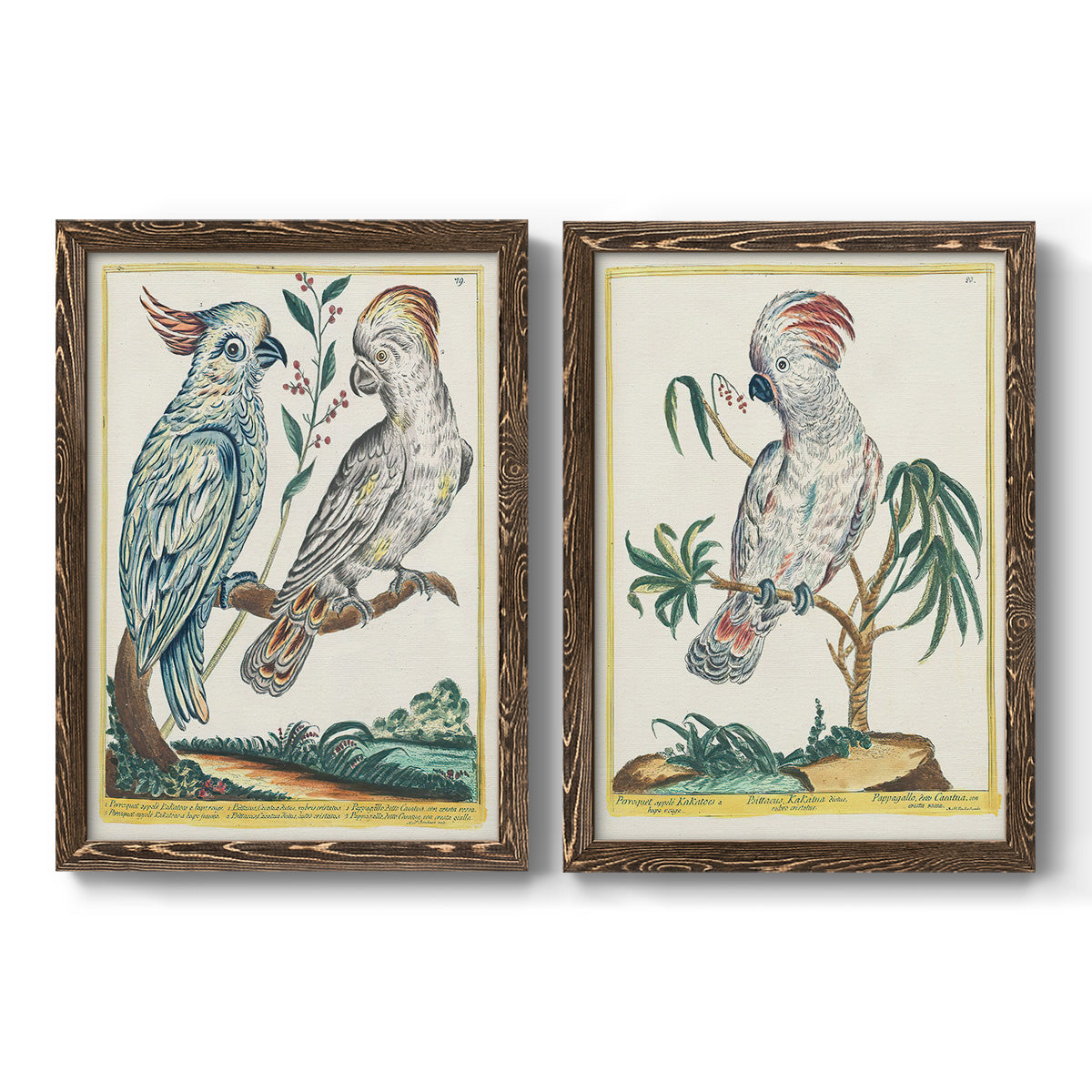 Pastel Birds I - Premium Framed Canvas 2 Piece Set - Ready to Hang