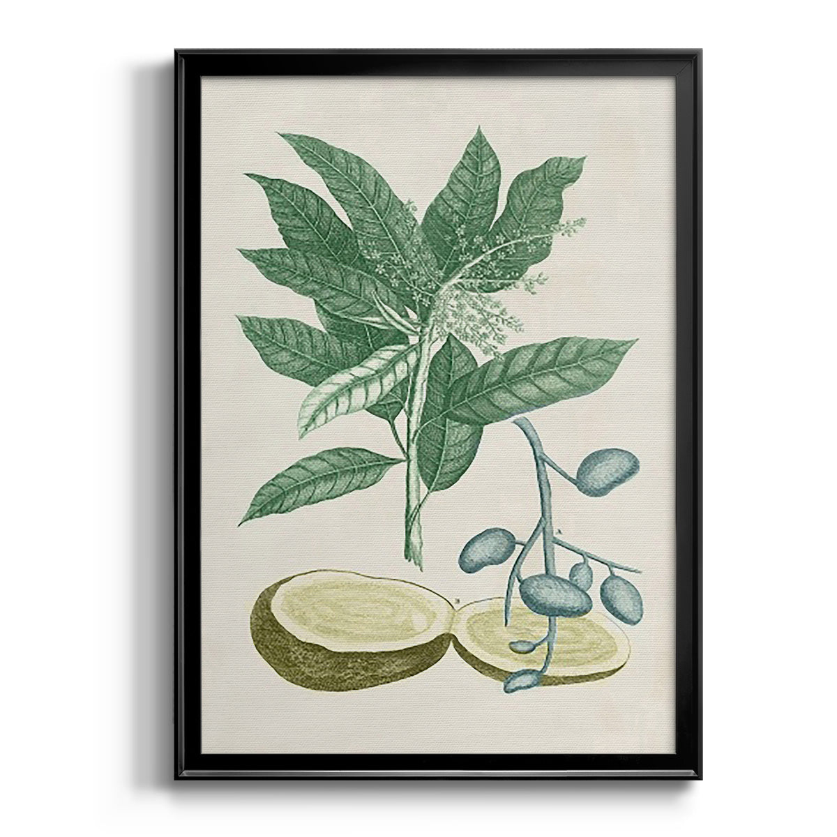 Buchoz Tropicals IV - Modern Framed Canvas Print