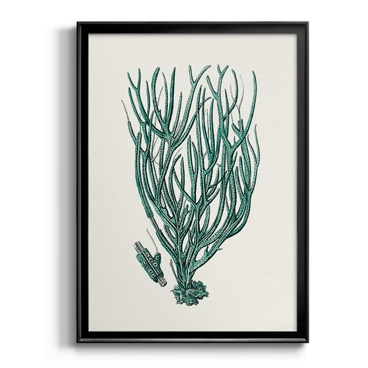 Antique Coastal Coral VIII - Modern Framed Canvas Print