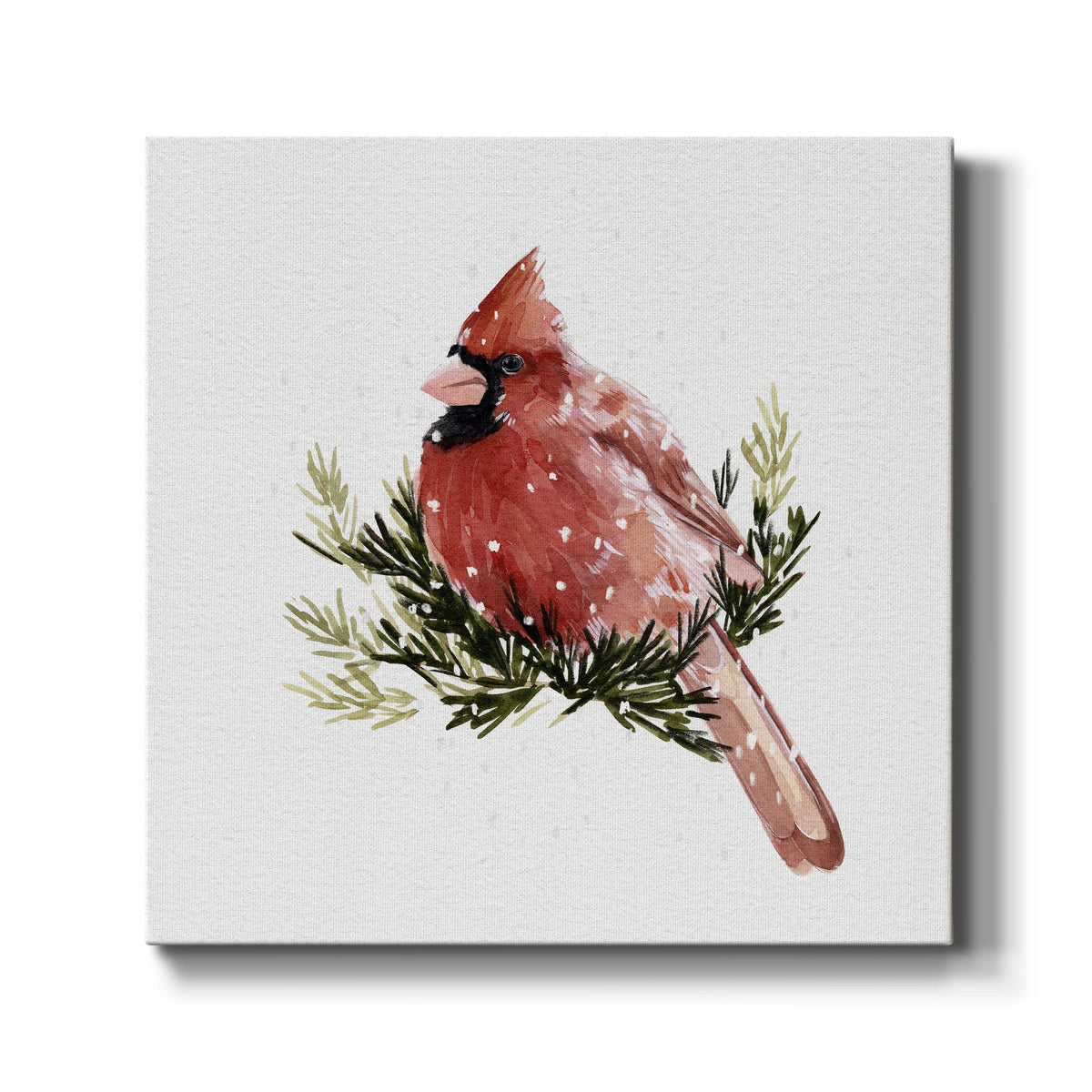 Cardinal with Snow II-Premium Gallery Wrapped Canvas - Ready to Hang